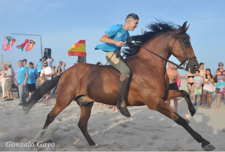 Foto:Gonzalo Gayo. PINEDO